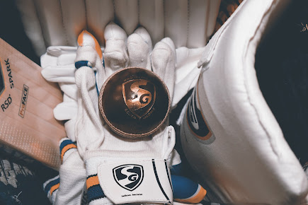 SG Cricket Gloves
